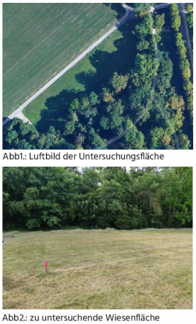 GGU_Geophysik_Beispiele_Arch_2021_1_2.JPG
